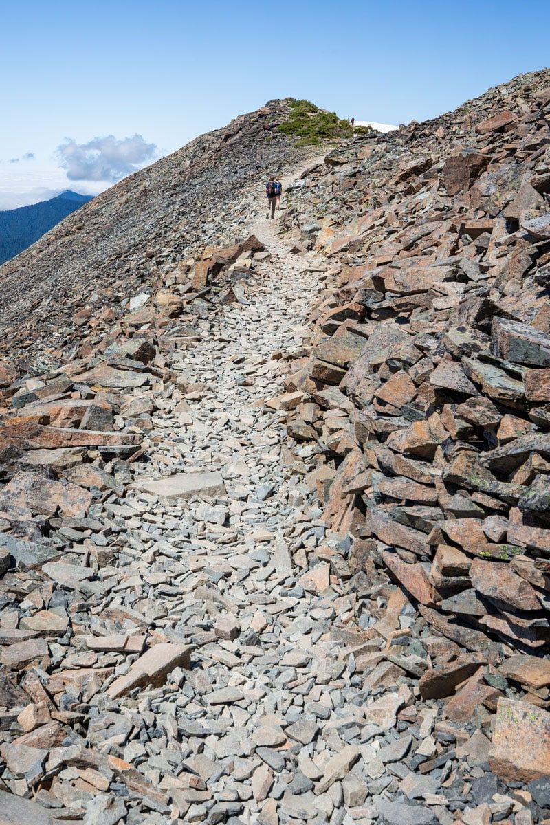 Mount Fremont Lookout Trail