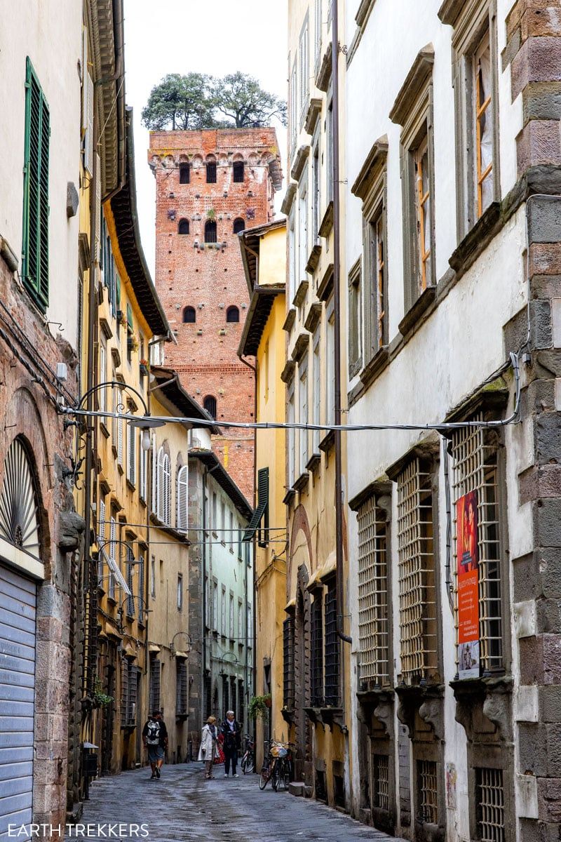 Torre Guinigi Lucca Italy