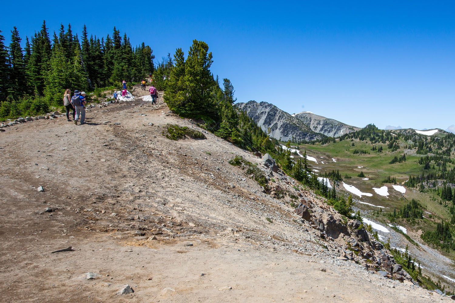Up the Sourdough Ridge Trail